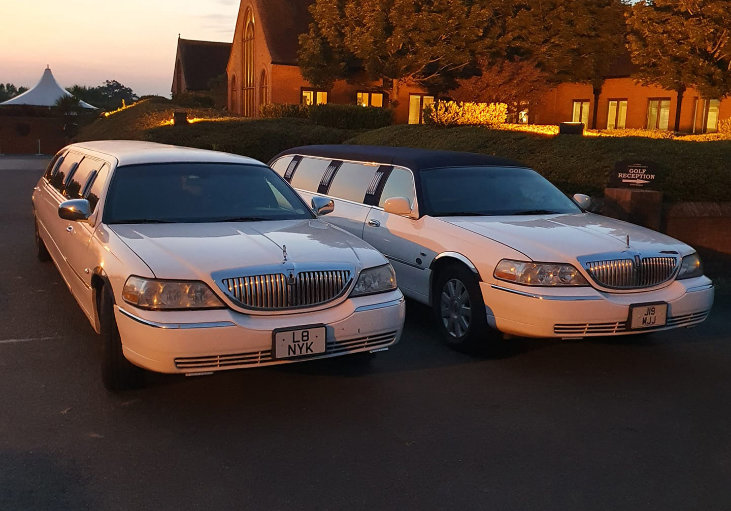 two white, stretched limousines parked side by side at sunset